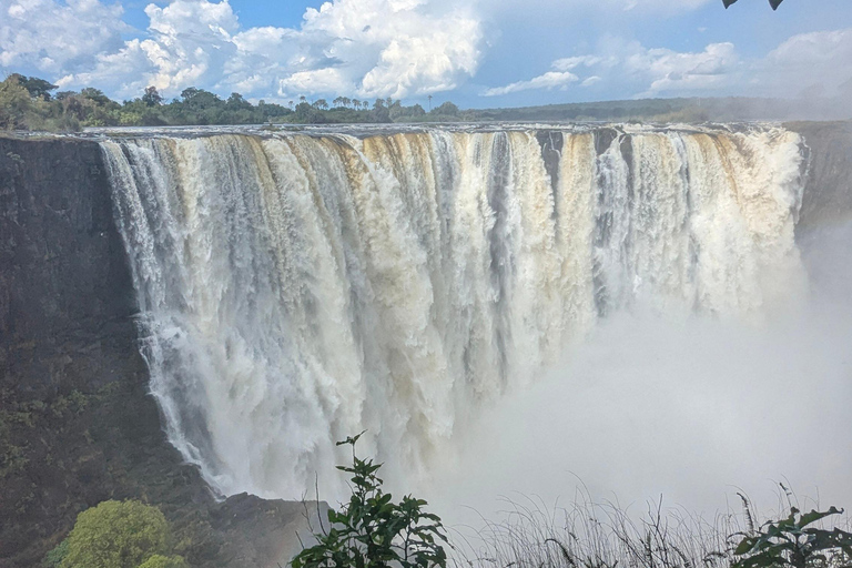 Victoria Falls Tour:Guided Walk with Female Guide