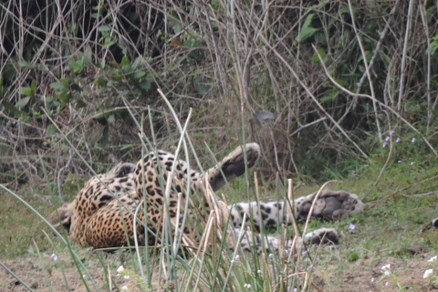 Yala/Mirissa: All Inclusive Full-Day Safari at Yala Park Mirissa/Weligama: All Inclusive Full-Day Safari at Yala Park