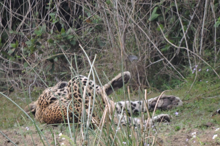 Yala/Mirissa: All Inclusive Full-Day Safari at Yala Park Mirissa/Weligama: All Inclusive Full-Day Safari at Yala Park