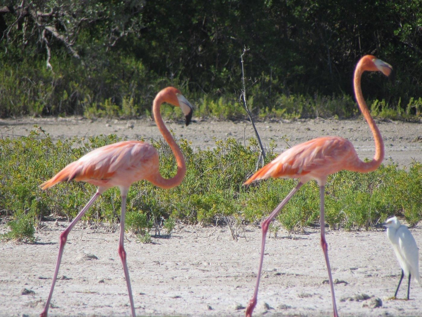 Privat: Wildtier- und Naturabenteuer in der Laguna Oviedo