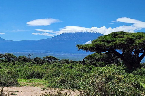 Nairobi: 3-Day honeymoon safari to Amboseli National Park Overnight Private to Amboseli National Park