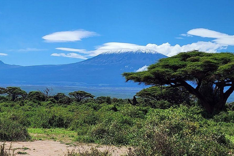 Nairobi: 3-Day honeymoon safari to Amboseli National Park Overnight Private to Amboseli National Park