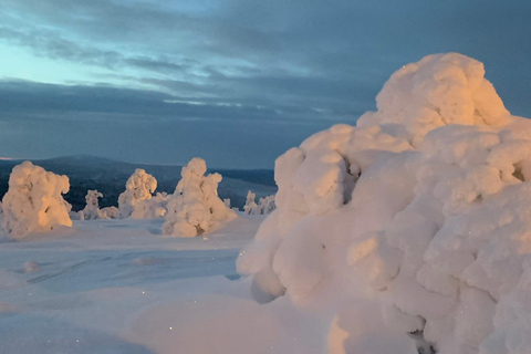 Levi: Snöskovandring: Tomtens stuga och picknick i natursköna omgivningar