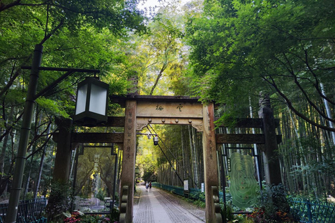 Hangzhou Half-Day: Pagoda, Bamboo Grove, and Old Street Tour