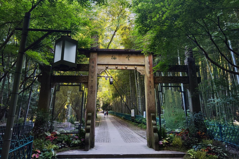Hangzhou Half-Day: Pagoda, Bamboo Grove, and Old Street Tour