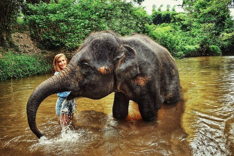 TOUR GUIADO PELO SANTUÁRIO DE ELEFANTES COM CAMINHADA EM CACHOEIRA