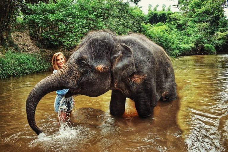 VISITE GUIDÉE DU SANCTUAIRE DES ÉLÉPHANTS AVEC RANDONNÉE GUIDÉE DES CHUTES D'EAU