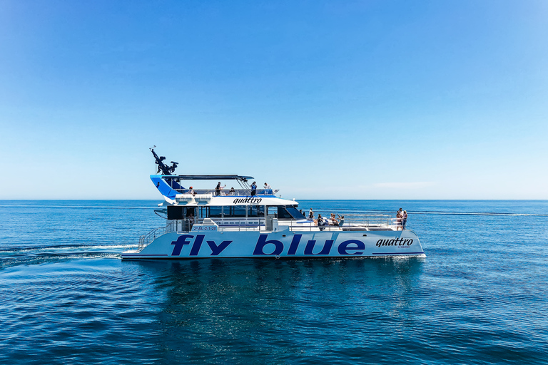 Málaga: Cruzeiro de catamarã com parada opcional para nadarPasseio Diurno de 1 Hora sem Parada para Mergulho