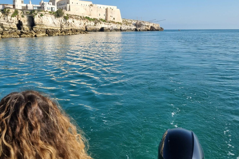Vieste: South Coast Boat Excursion with a Swim Stop Vieste: South coast boat excursion with swim stop