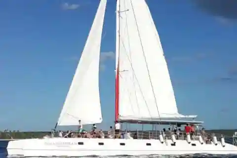 Saona Island: Full-Day Boat Tour with Drinks & Buffet Lunch