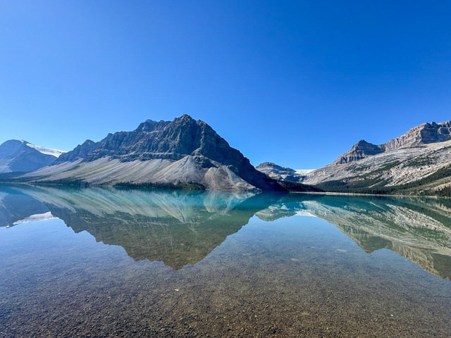 Banff/Calgary: Jasper Icefield with Lakes & Wildlife tour