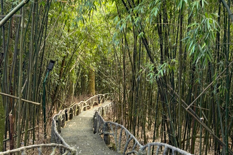 Tam Dao Private Day Tour With Misty Mountains, Cloud Views