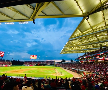 Mexico City Baseball Game Day Experience - Diablos Rojos