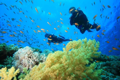 Hurghada: całodniowa wycieczka z lunchem i nurkowaniemNurkowanie z rurką z 2 miejscami