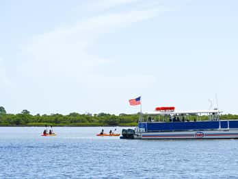 Avventura nella fauna selvatica di St. Augustine: tour in battello e kayak