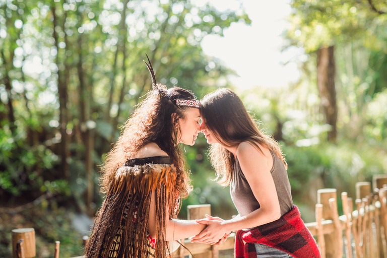 National "Funky Chicken" Hop-On Hop-Off Bus Pass New Zealand: North and South Island Funky Chicken Bus Pass