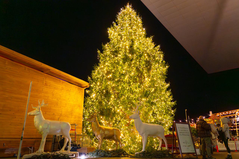 Lucerne and Christmas Market Tour with Pro Photographer