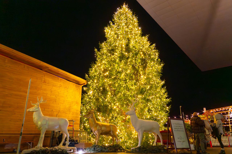 Lucerne and Christmas Market Tour with Pro Photographer