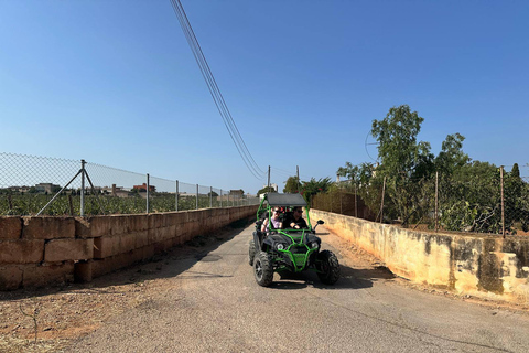Mallorca: Buggy Tour Adventure with Cove Swimming