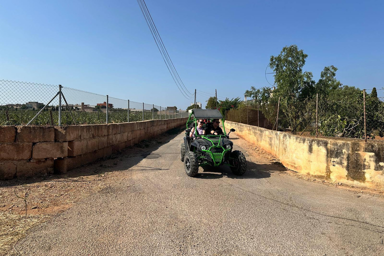 Mallorca: Buggy Tour Adventure with Cove Swimming