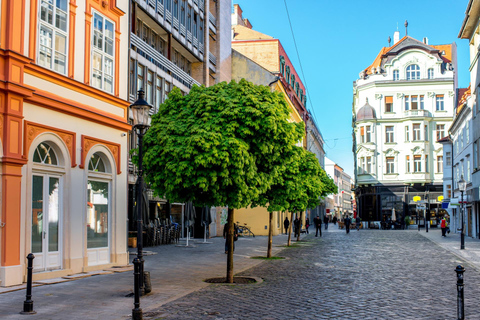 Tour privato a piedi della storia ebraica del centro storico di Bratislava