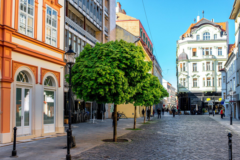 História Judaica da Cidade Velha de Bratislava Excursão a pé particular