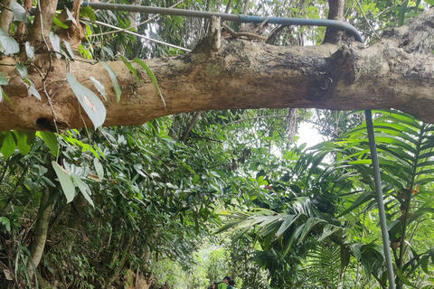 Kandy: Knuckles Mountain Range Guided Trekking Tour