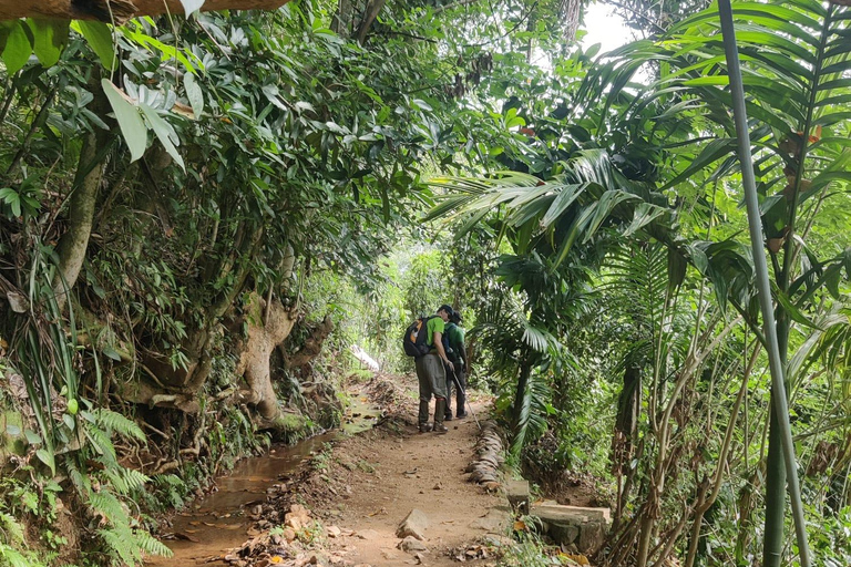 Kandy: Knuckles Mountain Range Guided Trekking Tour