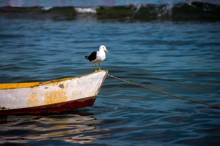 Rio: jednodniowa wycieczka do Buzios z rejsem łodzią i lunchem