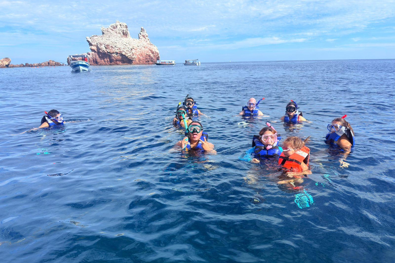 La Paz: Espíritu Santo Island, Balandra Beach, and Sea Lions – All-Inclusive La Paz: Espíritu Santo Island and Balandra, All-Inclusive