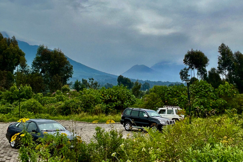 Musanze, Volcanoes National Park Region Day Trip from Kigali Standard Small Group Option