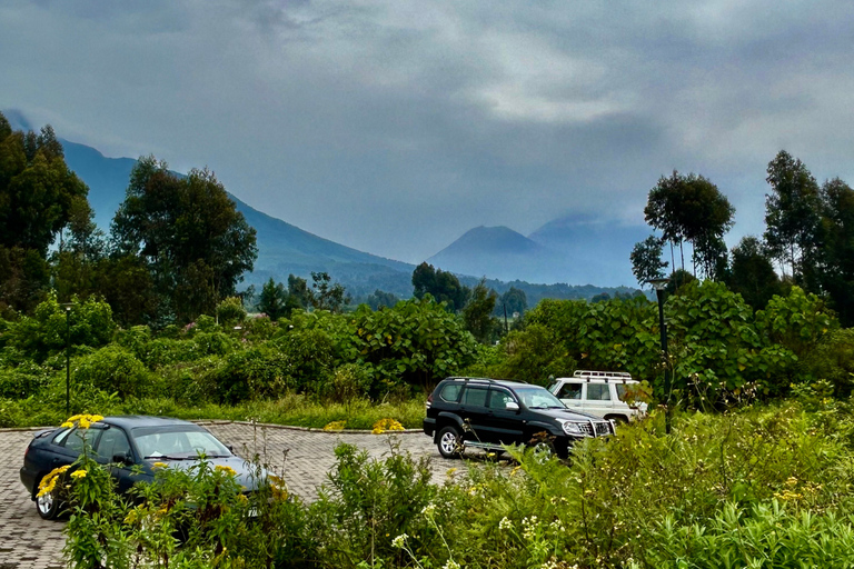 Musanze, Volcanoes National Park Region Day Trip from Kigali Standard Small Group Option