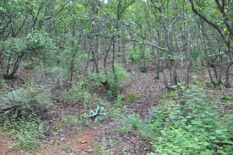 Senderismo en el parque Nacional Benito Juárez
