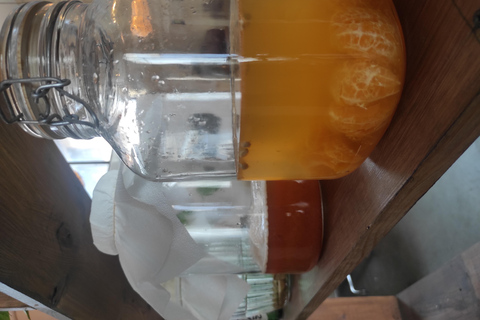 Private Kombucha Making Workshop in Cyprus