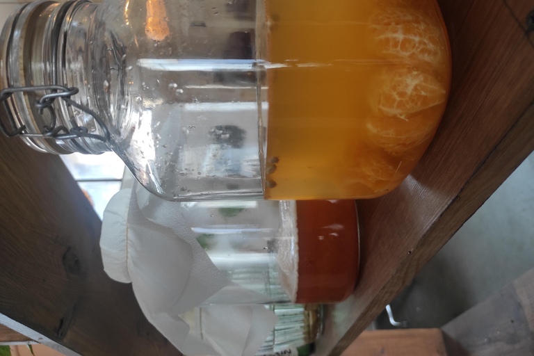 Private Kombucha Making Workshop in Cyprus