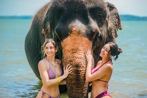 Phuket:Beach walk with elephants, rain & care. 2.5 hours