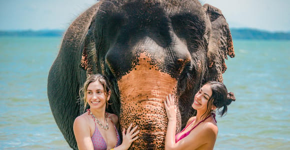 Phuket: Beach walk with elephants, rain & care. 2.5 hours