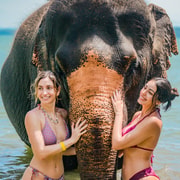 Phuket: Beach walk with elephants, rain & care. 2.5 hours