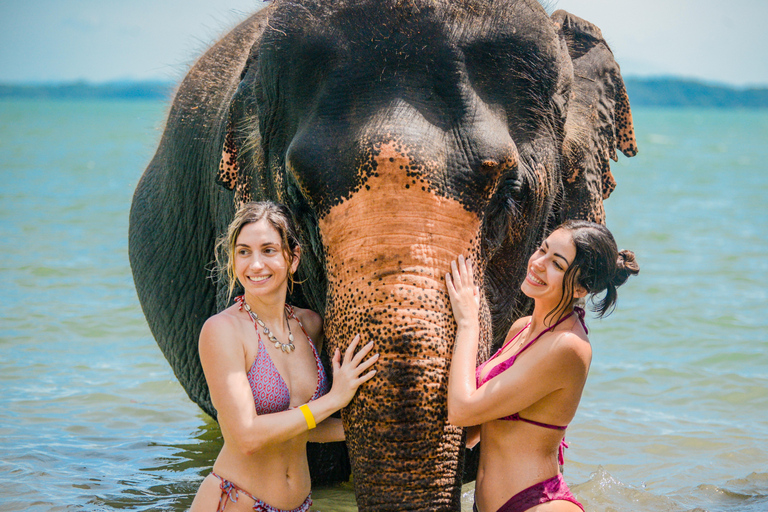 Phuket: Half‑Day Elephant Care Experience Including Lunch
