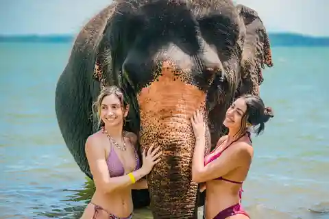 Phuket:Beach walk with elephants, rain & care. 2.5 hours