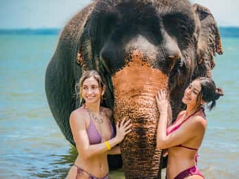Phuket:Beach walk with elephants, rain & care. 2.5 hours