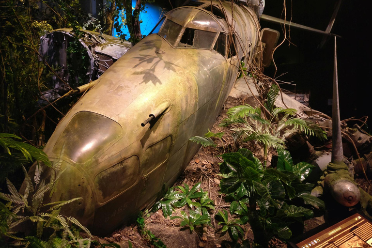 Blenheim: Bilet wstępu do Centrum Dziedzictwa Lotnictwa OmakaBilet wstępu na wystawę Knights of the Sky z czasów I wojny światowej