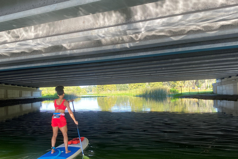 Orlando: Urban Clear Kayak or Paddleboard in Paradise Urban Paddle Tour