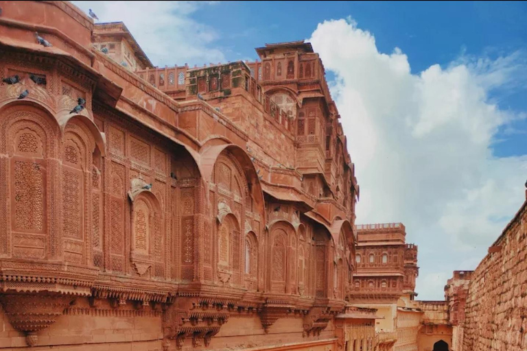From Delhi: 15-Day Rajasthan Desert & Taj Mahal Private Tour 15-Day Private Royal Rajasthan Tour with Budget 2Star Hotels