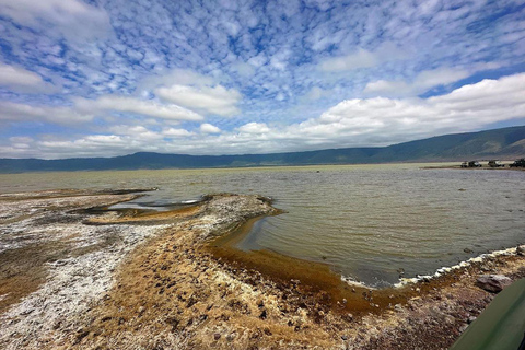 Viagem de 1 dia para a cratera de NgorongoroViagem de 1 dia à Cratera de Ngorongoro