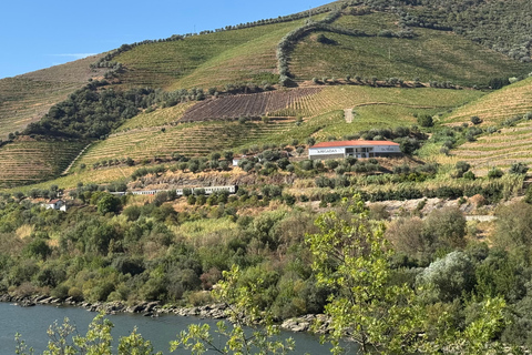 Porto: Douro Valley Train Tour, Cruise, Wine & Lunch
