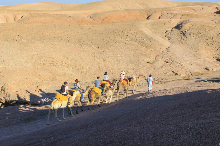 From Marrakech: Agafay Desert Quad & Camel Ride with Dinner Marrakech: Agafay Desert Quad & Camel Rides with Dinner Show