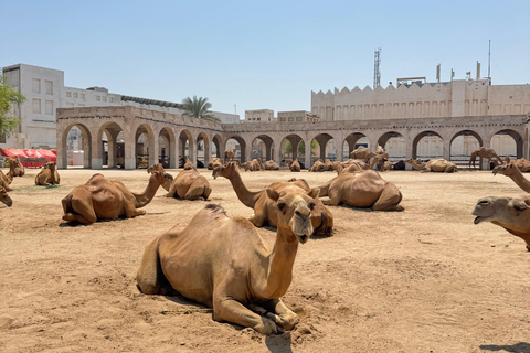 Doha: Shared Desert Safari, Dune Bashing & Inland Sea