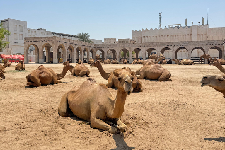 Doha: Shared Desert Safari, Dune Bashing & Inland Sea