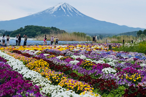 Tokyo: Private Daytrip to Mount Fuji - Fully Customizable Mt Fuji Private Luxury Van Tour (Customizable Experience)